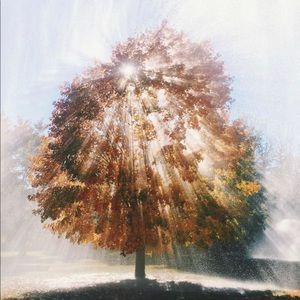 Meet your Posher, Lnsky